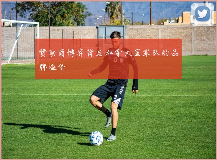 赞助商博弈背后加拿大国家队的品牌溢价