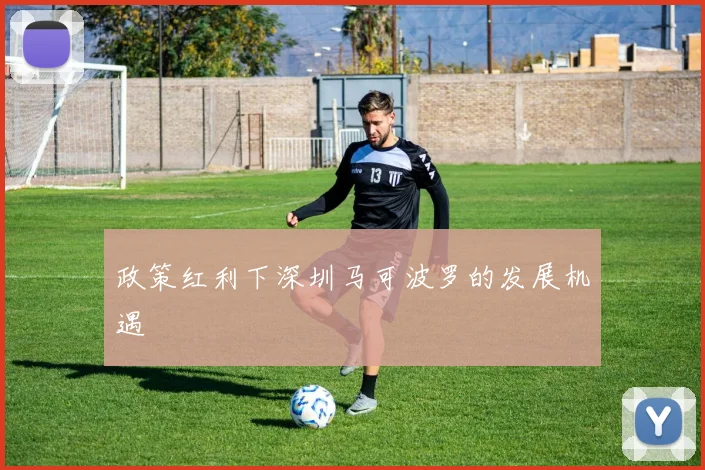 政策红利下深圳马可波罗的发展机遇