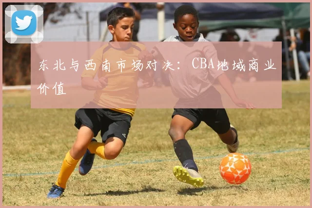 东北与西南市场对决：CBA地域商业价值