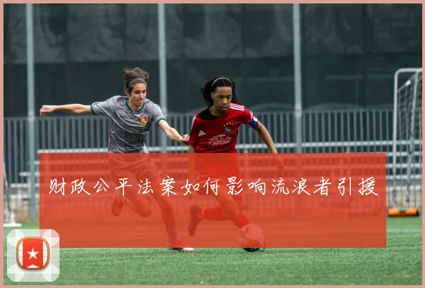 财政公平法案如何影响流浪者引援