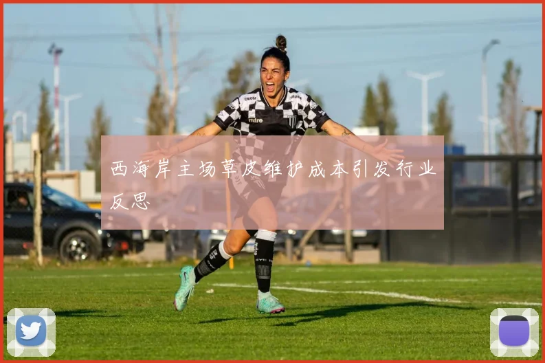 西海岸主场草皮维护成本引发行业反思