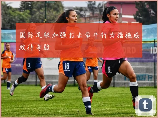 国际足联加强打击黄牛行为措施成效待考验