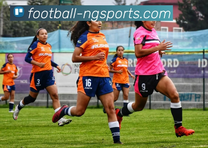 ng体育发展历程